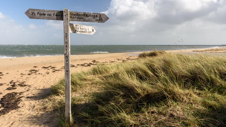 Shell Bay - wooden crossroads sign, Winter